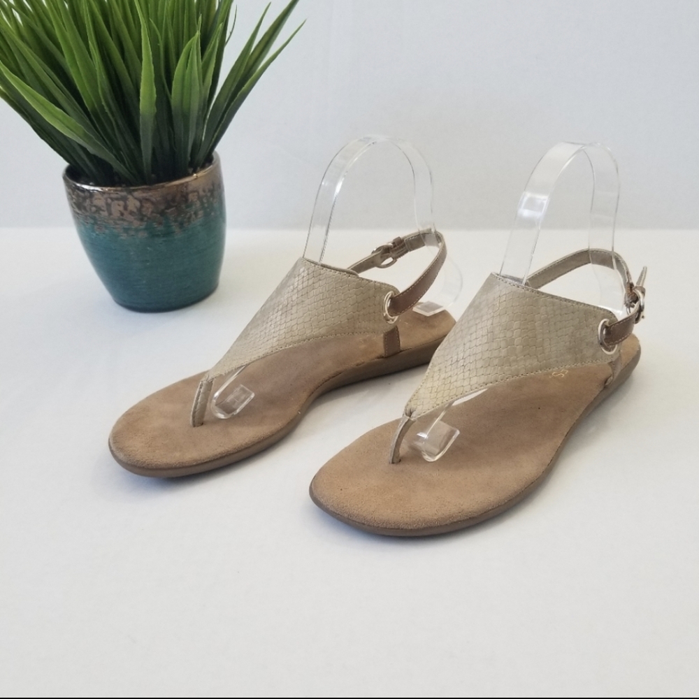 Aerosoles Tan Chlock In Sandals